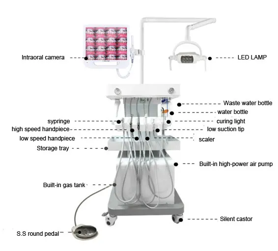 Veterinary Portable Equipment Chair Multifunctional Steel Dental Unit Dental Chair 2